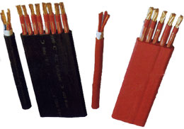 塑料絕(jue)緣控制(zhi)電纜