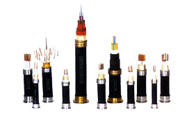 本安型(xing)電子計(ji)算機用(yong)信号電(dian)纜