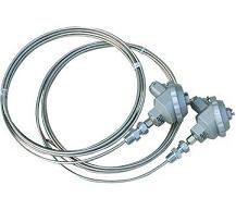 铠(kai)裝熱電(dian)偶