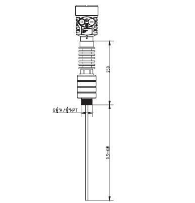 高溫(wen)導波(bo)雷達(da)物位(wei)計外(wai)型尺(chi)寸圖(tu)