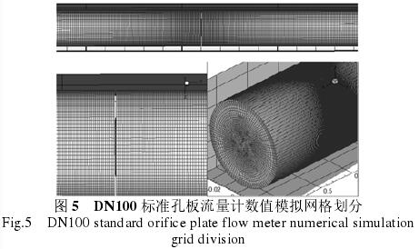DN100标準孔(kong)闆流量(liang)計數值(zhi)模拟網(wang)格劃分(fen)圖