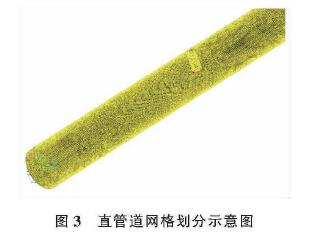 插入(ru)式電磁(ci)流量計(ji)直管道(dao)網格劃(hua)分示意(yi)圖