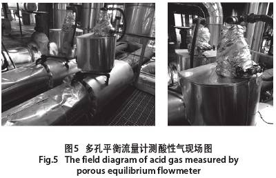 多孔(kong)平衡流量(liang)計測酸性(xing)氣現場圖(tu)示