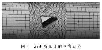 渦街(jie)流量(liang)計的(de)網格(ge)劃分(fen)圖示(shi)
