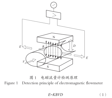 電(dian)磁流量計(ji)檢測原理(li)圖示