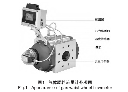 氣(qi)體腰(yao)輪流(liu)量計(ji)外觀(guan)圖