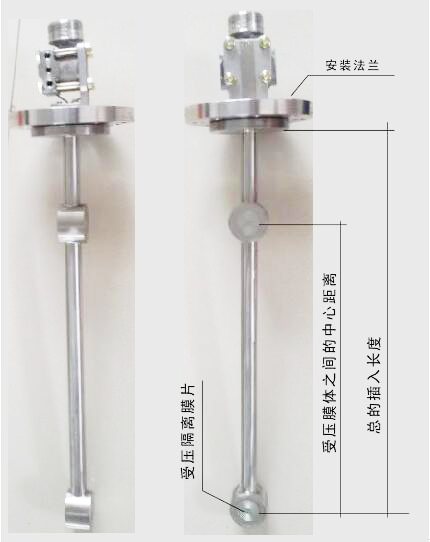頂裝型(xing)差壓式(shi)密度計(ji)圖示