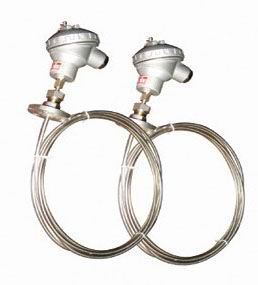 多(duo)點熱電(dian)阻