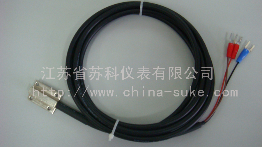 壓(ya)平面(mian)熱電(dian)阻