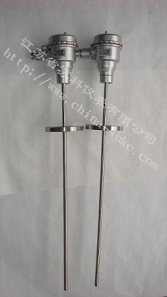 防爆(bao)型熱(re)電偶(ou)