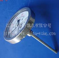 耐(nai)震溫(wen)度計(ji)