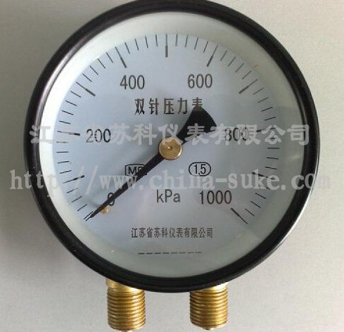 雙針(zhen)壓力表(biao)